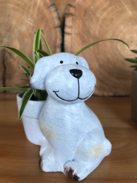 NOVELTY CONTAINER S AND PLANTS Plant