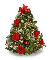 O' Christmas Tree Christmas Tree Shaped boxwood tree