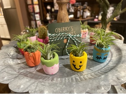O'Berry's Mini Air Plants 