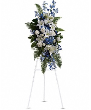 Ocean Breeze Spray  Standing Spray 