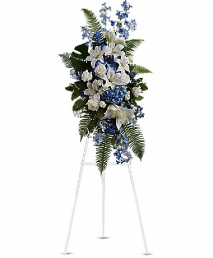 Ocean Breeze Spray  Standing Spray 