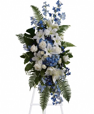 Ocean Breeze   T246-A 