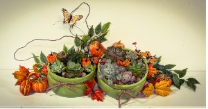 SOLD OUT***OCTOBER 22, 2025 @ 6:30PM***SOLD OUT SOLD OUT***Succulent Garden WORKSHOP***SOLD OUT