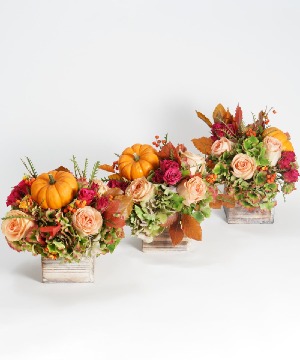 Octobers Trio  Next Day Delivery 