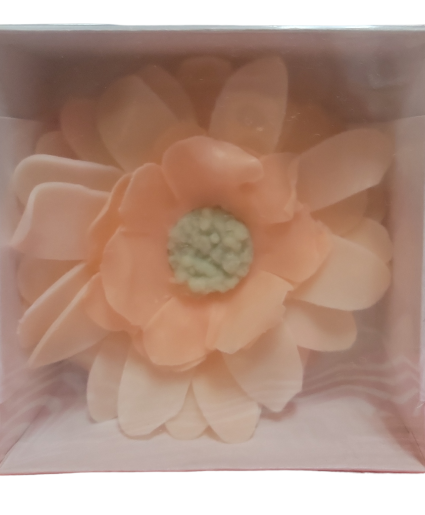 Ode To Joy Bath Soap