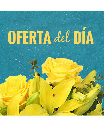 Oferta Del Día Elección Del Diseñador in Noblesville, IN | ADRIENES FLOWERS & GIFTS LLC.