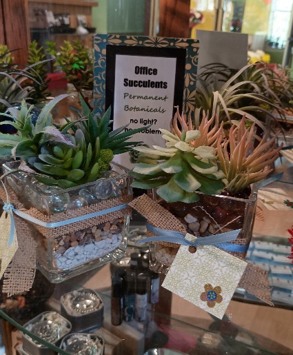 Office Succulents Gift