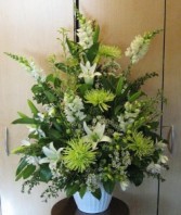 PEACEFUL WISHES        (S) White and green seasonal flowers (lilies take a few days to open)