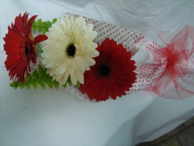 DEAL OF THE DAY! 3 LARGE GERBERA (E) DAISIES WITH GREENS WRAPPED IN CUTE PAPER! 