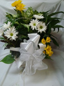 Large mixture of different plants in a basket (P) with cut flowers and bow. Nice keepsake!