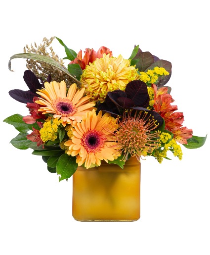 On Pins and Needles Arrangement