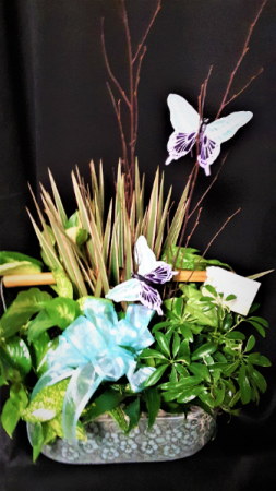 on the wings of the butterfly planter