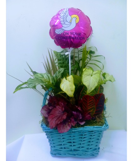 On your confirmation (girl) dish garden Plant