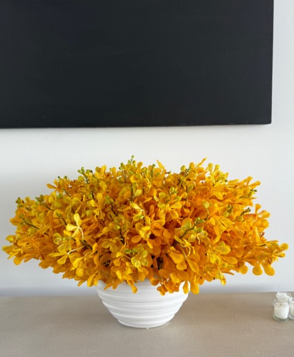 Mokara Arrangement 