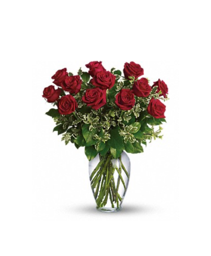 One dozen beautiful Hearts roses 