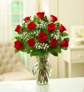 One Dozen Classic Roses 