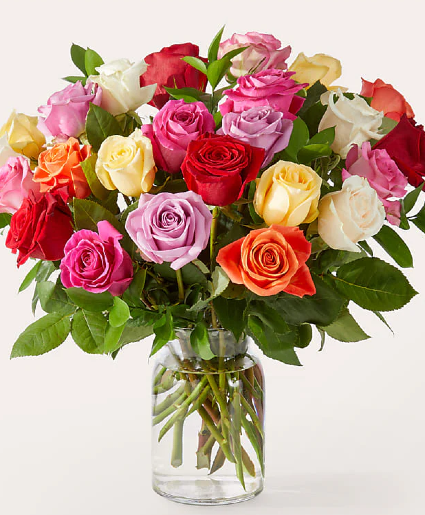 One Dozen colorful dozen vase