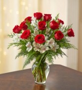 One Dozen Deluxe Roses 