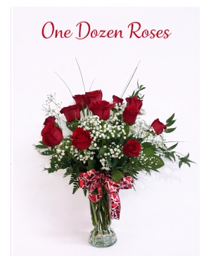 One Dozen Long Stem Red Roses One dozen roses