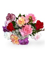  Carnations Bouquets  One Dozen  Extra Fancy Mixed Carnations ((PICKUP ONLY))