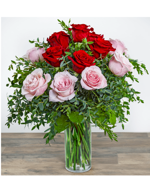 One Dozen Perfect Pink and Red Roses Valentines