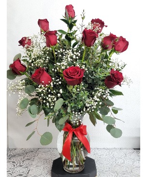 One dozen premium red roses Roses