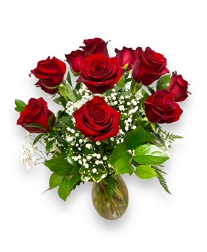 One Dozen Premium Red Roses  