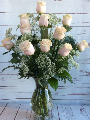 One Dozen Premiun Long Stem Blush Pink Roses Premium Roses