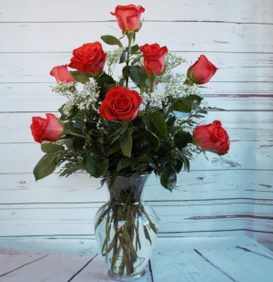 One Dozen Premiun Long Stem Orange Roses Premium Roses