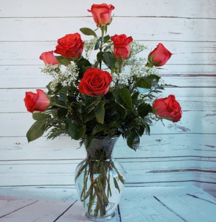 One Dozen Premiun Long Stem Orange Roses Premium Roses
