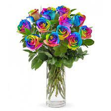 One Dozen Rainbow Roses Special Order 36 Hour Notice