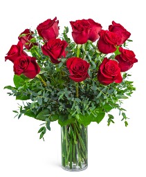 One Dozen Red Hot Roses Floral Arrangement