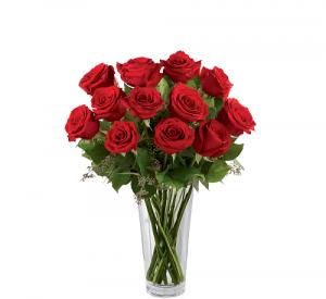 One Dozen Red Rose Arrangement