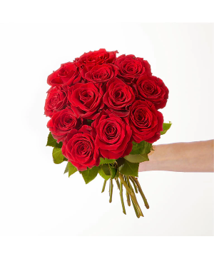 One Dozen Red Rose Bouquet 
