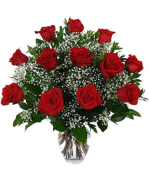  One Dozen Red Roses Arrangement
