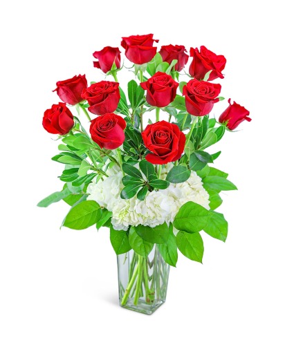 One Dozen Red Roses with Hydrangea Flower Arrangement
