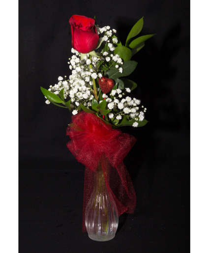 One Rose in Vase 