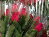 One Single Stem Rose  Long Stem Extra Fancy    ((PICKUP ONLY))
