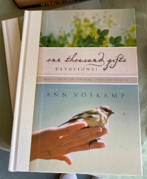 One Thousand Gifts Devotional gift