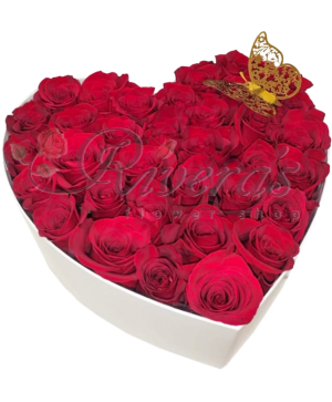 Only love  