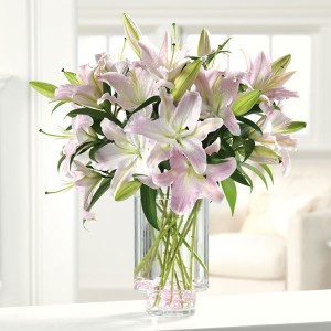 Ooh-La-La Lilies 