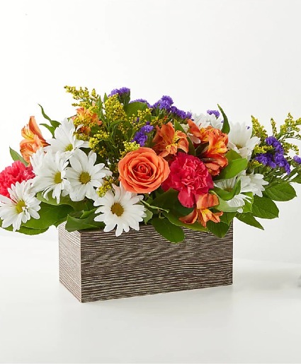 Oopsie Daisy Box spring / summer 