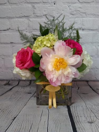 Open Peonie  