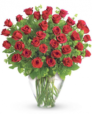 Opulence - 36 Roses  Arrangement