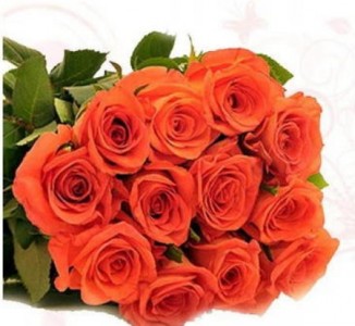 Orange Confidence Roses