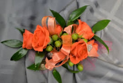 Orange Crush 