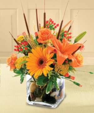 Cube - Orange Delight Arrangement in cube