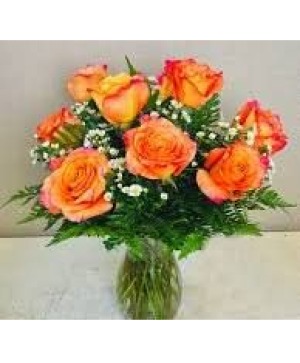 Orange dozen Dozen Roses
