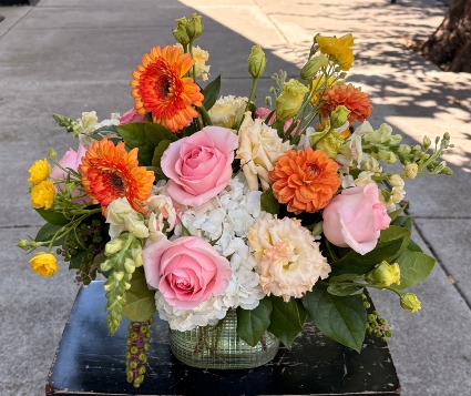 Orange Dream Arrangement