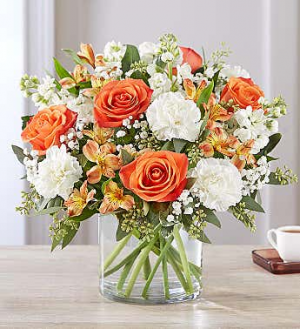 Orange Dreamsicle Summer